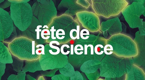 Fête de la science en Corse 2019 Fête de la science en Corse 2019