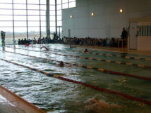 Les Champions Olympiques 2012 de Natation à la piscine de la Cité Scolaire du Fium'orbu