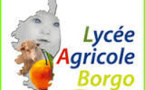 Visite du Lycée Agricole de Borgo (3°B/3°F/3°E)