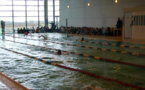 Les Champions Olympiques 2012 de Natation à la piscine de la Cité Scolaire du Fium'orbu