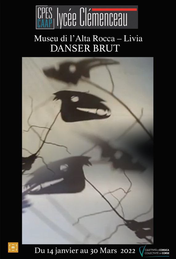 Danser Brut, un workshop