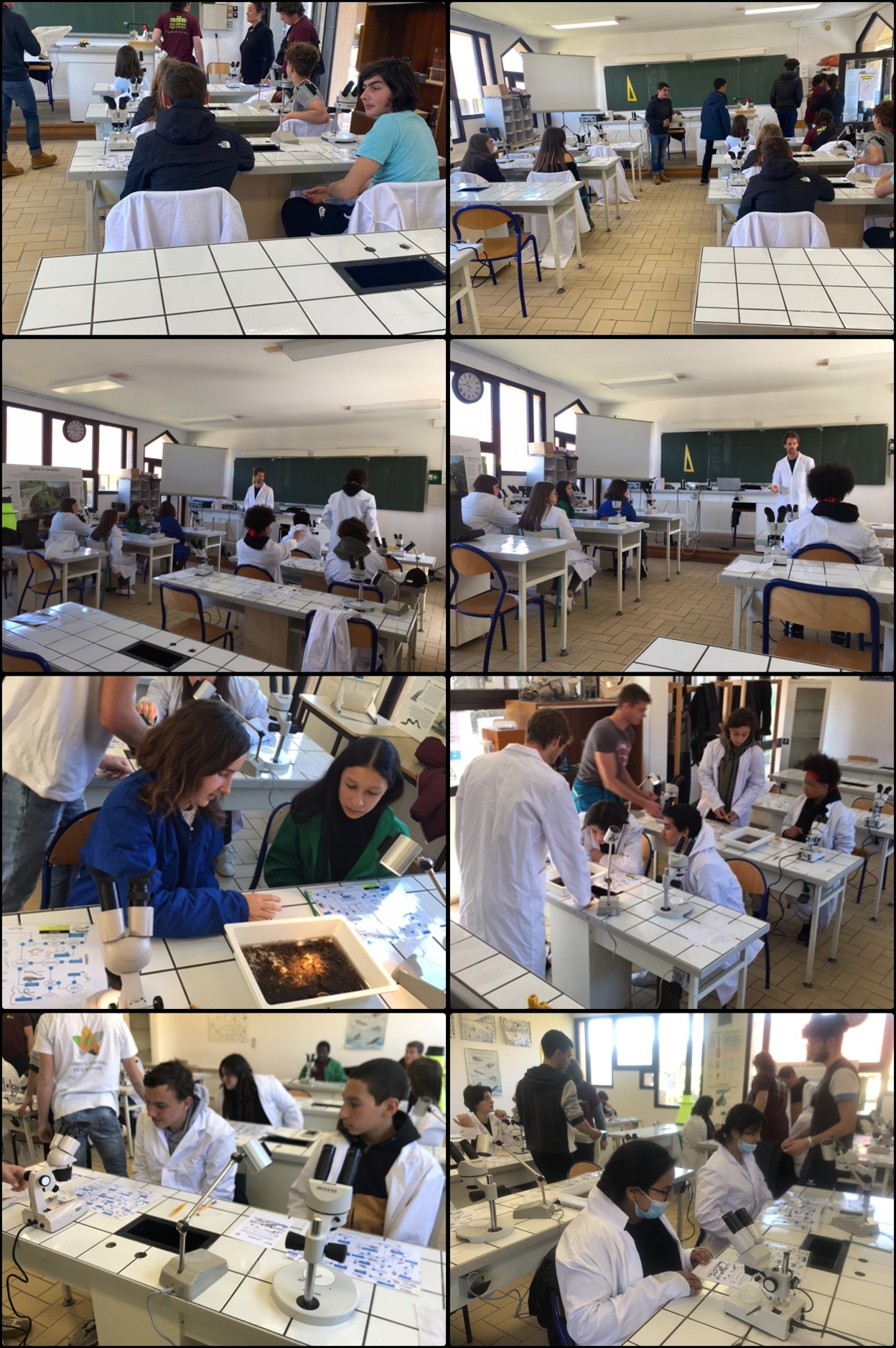 Atelier Microscope Atelier Microscope