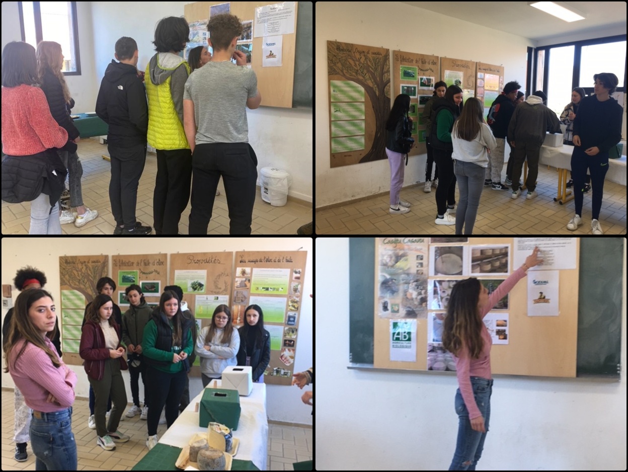 Atelier Dégustation de produits Atelier Dégustation de produits