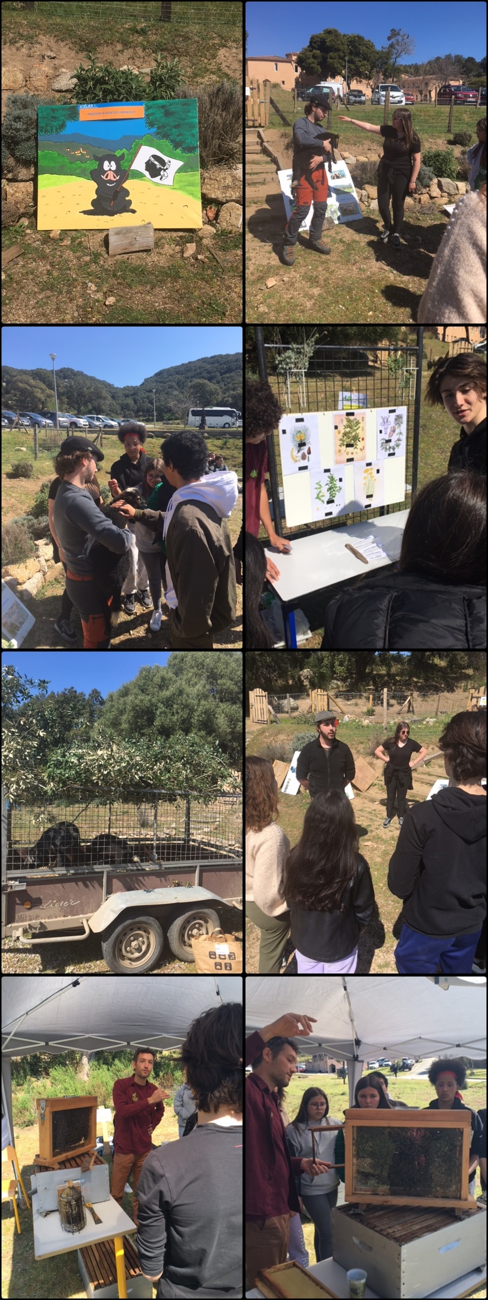 Atelier Présentation des Animaux, Rucher et Essences corses