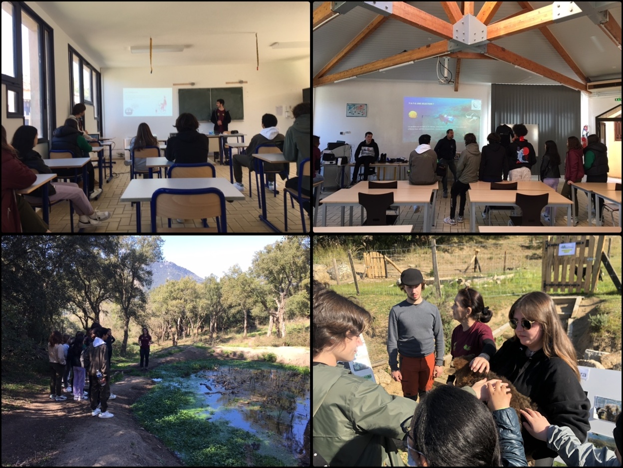 Atelier Zone humide, Présentation des animaux, Section Sportive et Châtagneraie corse Atelier Zone humide, Présentation des animaux, Section Sportive et Châtagneraie corse