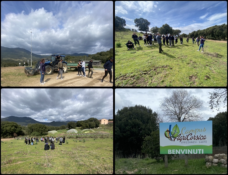 Sorite au Campus du Lycée Agricole de Sartène