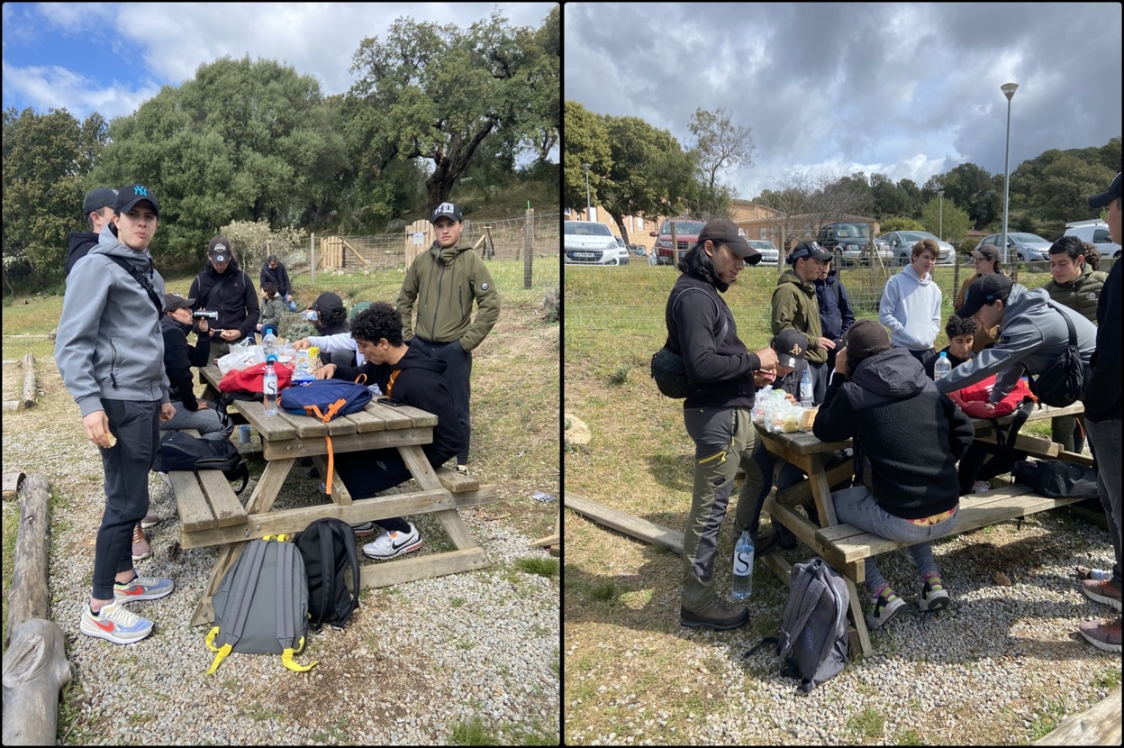 Sorite au Campus du Lycée Agricole de Sartène Sorite au Campus du Lycée Agricole de Sartène
