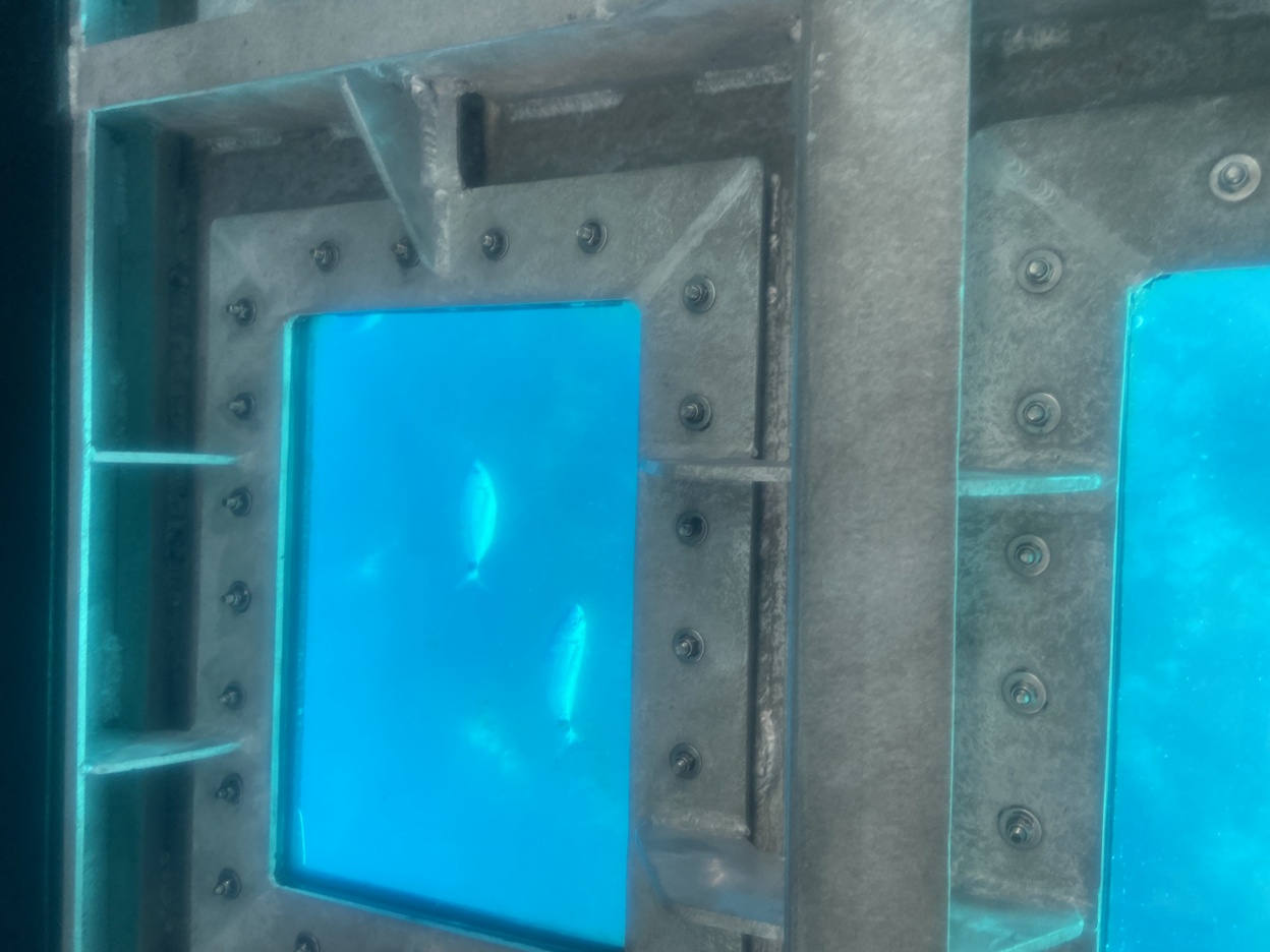 Sortie en mer Sortie en mer