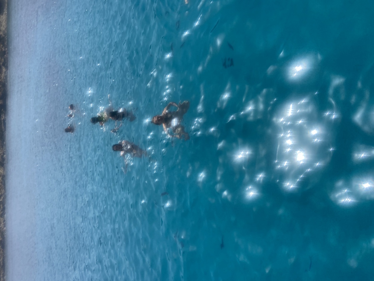 Sortie en mer Sortie en mer