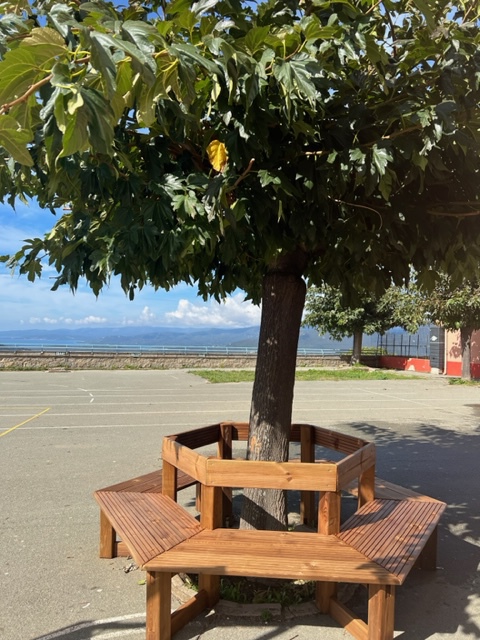 Nouvel aménagement extérieur Nouvel aménagement extérieur