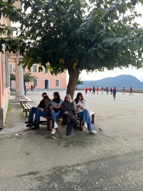 Nouvel aménagement extérieur Nouvel aménagement extérieur