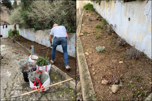 Silence...ça pousse Silence...ça pousse