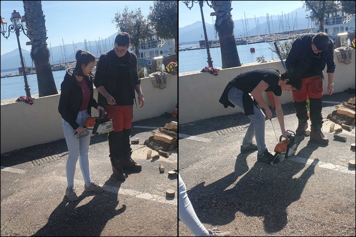 Salon de l'orientation Salon de l'orientation