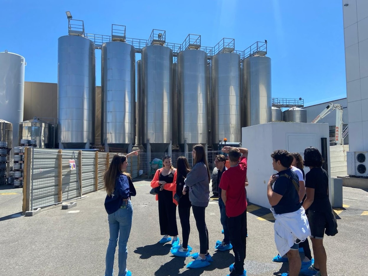 Visites d'entreprises Visites d'entreprises