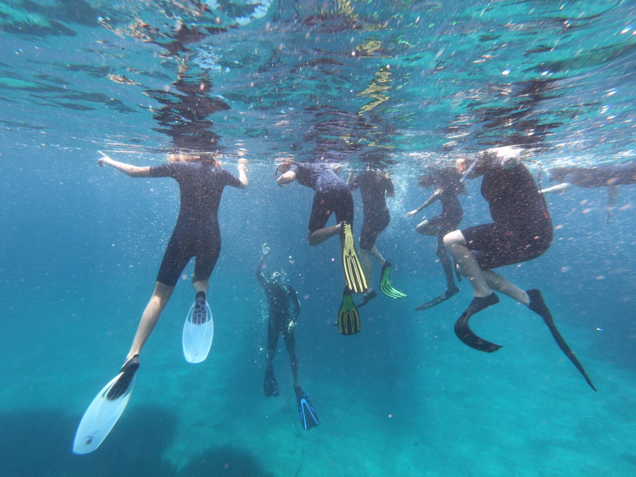 Sortie aux îles Lavezzi Sortie aux îles Lavezzi