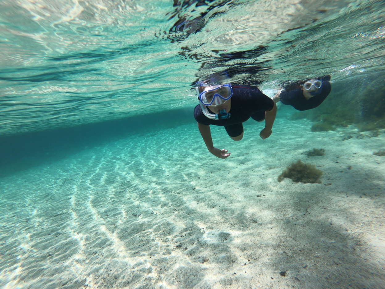 Sortie aux îles Lavezzi Sortie aux îles Lavezzi
