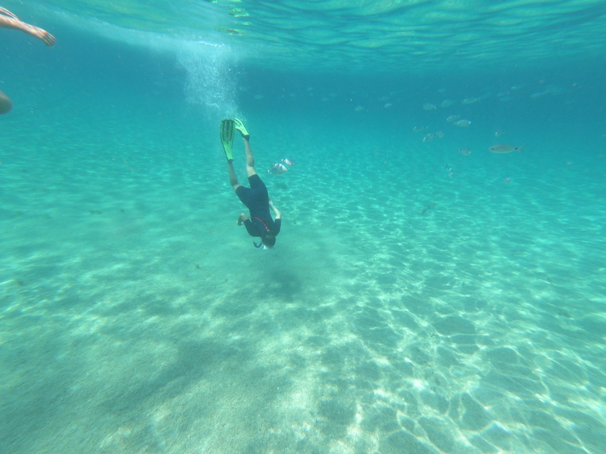 Sortie aux îles Lavezzi Sortie aux îles Lavezzi