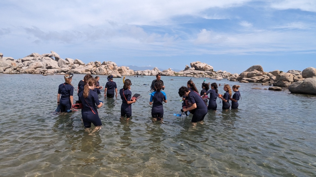 Sortie aux îles Lavezzi Sortie aux îles Lavezzi
