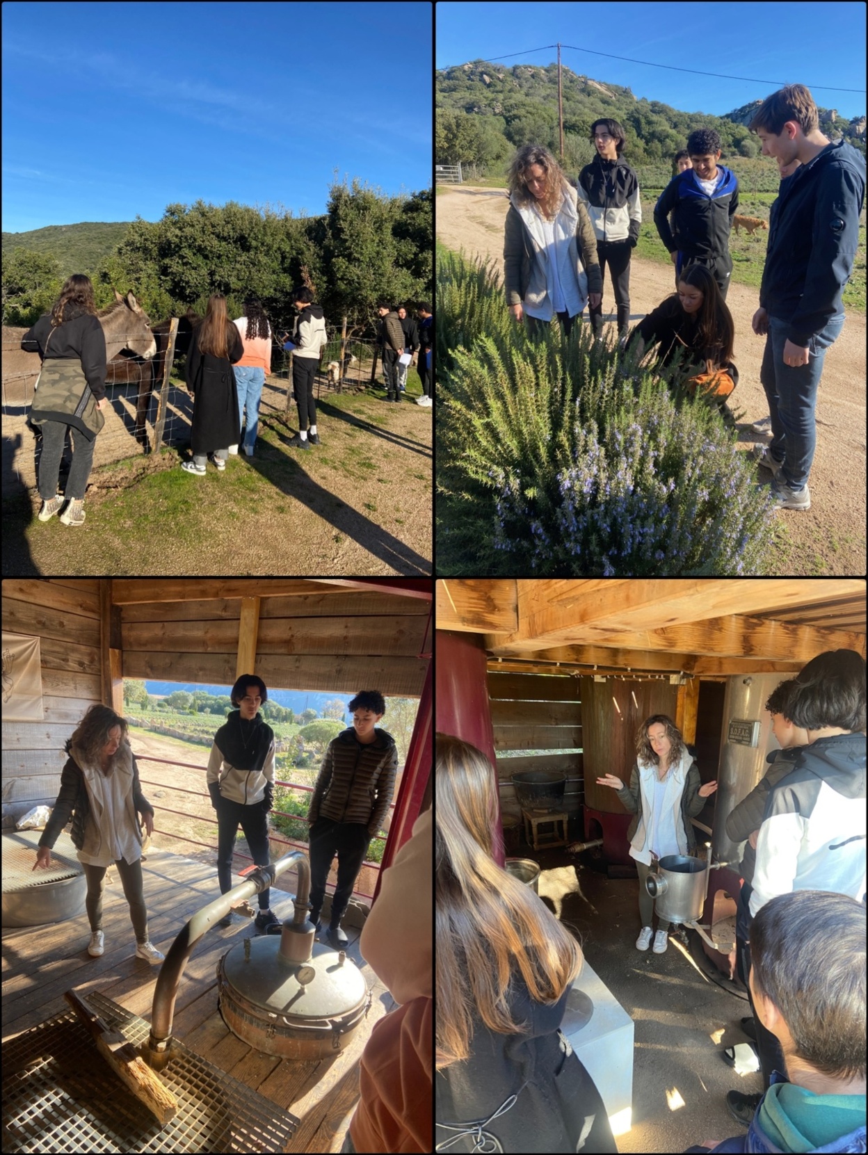 Semaine de l'industrie Semaine de l'industrie