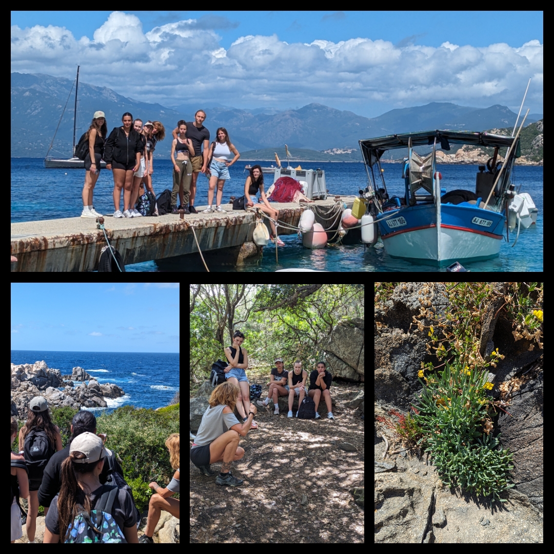 Sorties sur la biodiversité du littoral Sorties sur la biodiversité du littoral