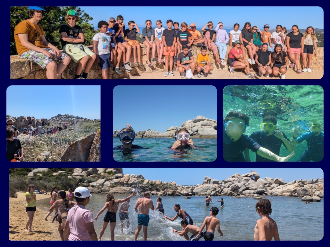 Sortie aux îles de Lavezzi Sortie aux îles de Lavezzi