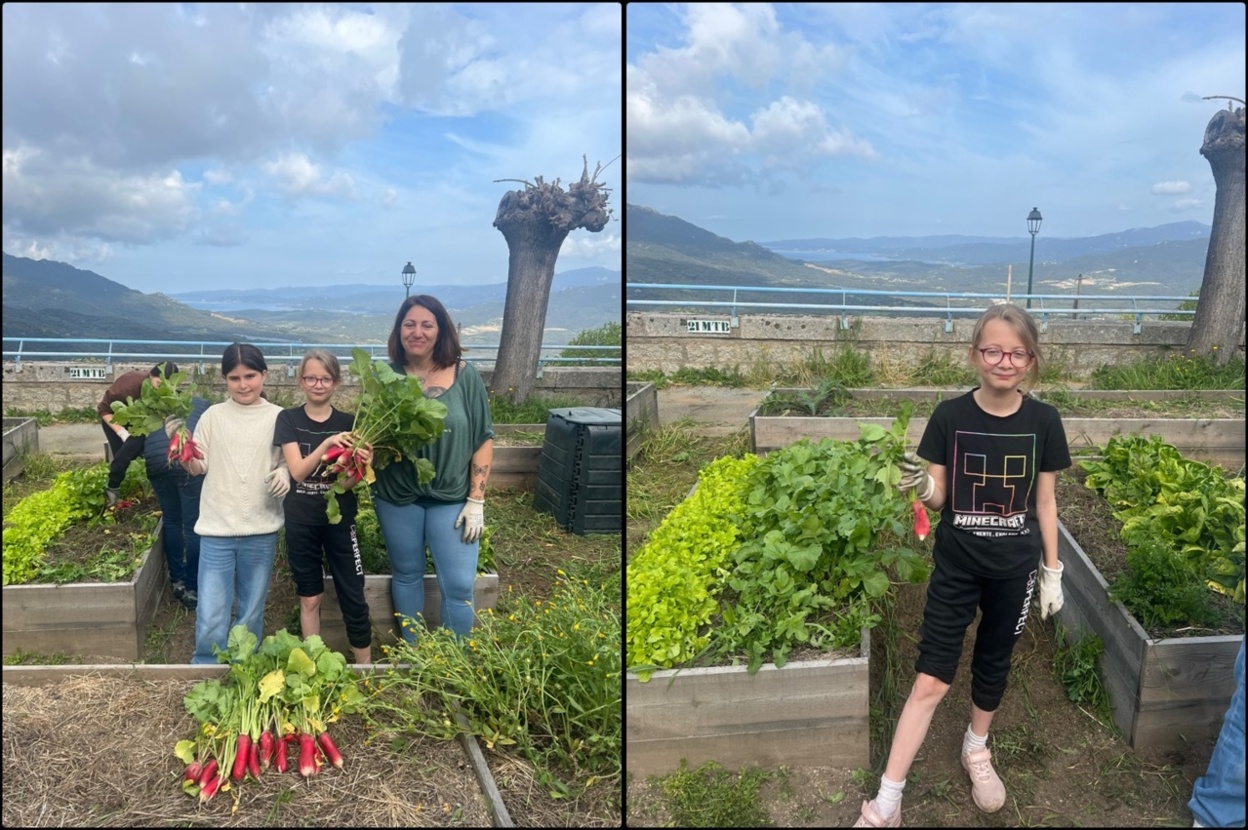 L'atelier potager L'atelier potager