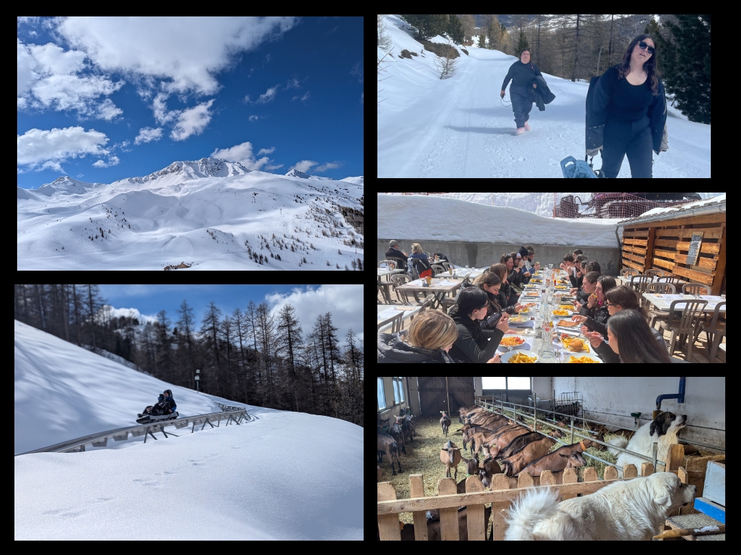 Séjour au ski Mars 2025 Séjour au ski Mars 2025