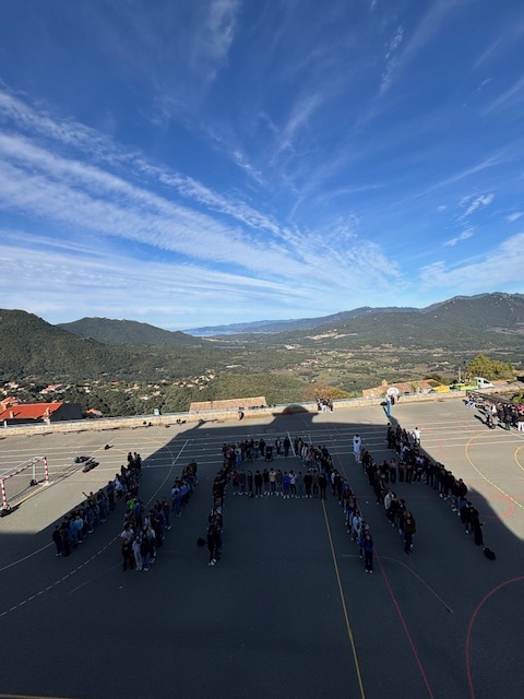 Mobilisation pour dire :                                       Non Au Harcèlement