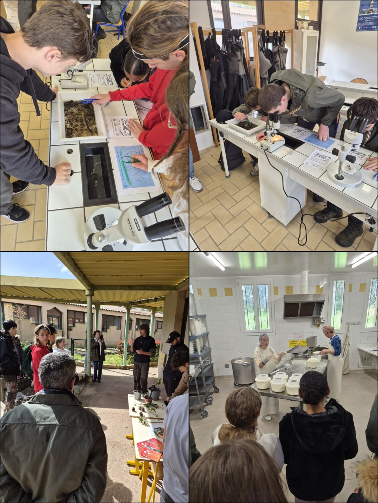 Salon de l'orientation au Lycée Agricole de Sartène Salon de l'orientation au Lycée Agricole de Sartène