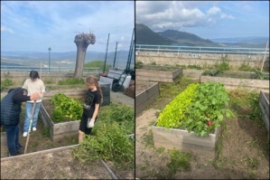 L'atelier potager
