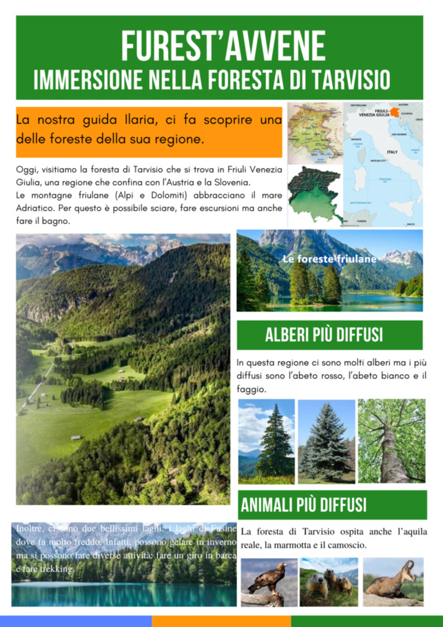 Travail réalisé par les 4° CLEDD dans le cadre du projet "Furest'Avvene" Travail réalisé par les 4° CLEDD dans le cadre du projet "Furest'Avvene"