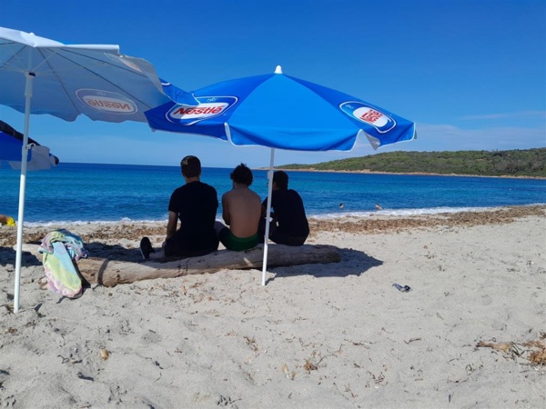 SORTIE COHESION PLAGE DE CAPO DI FENO 3° PREPA METIERS DIPS SORTIE COHESION PLAGE DE CAPO DI FENO 3° PREPA METIERS DIPS