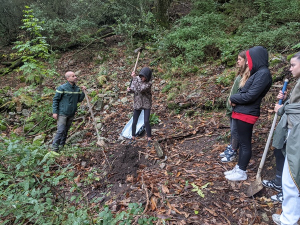 Projet ONF Stilettu Projet ONF Stilettu