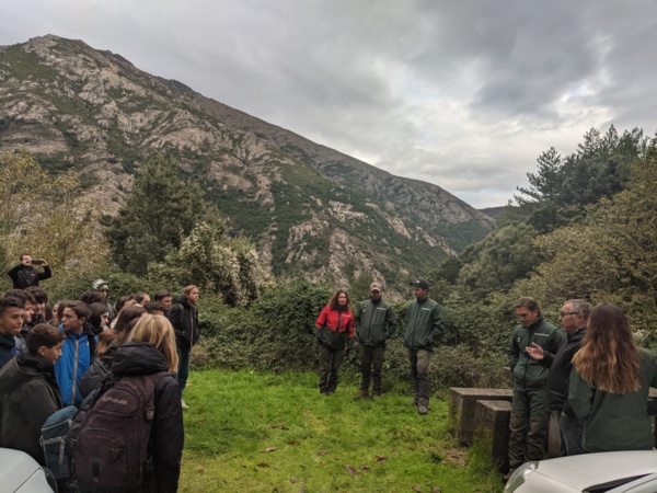 Projet ONF Stilettu Projet ONF Stilettu