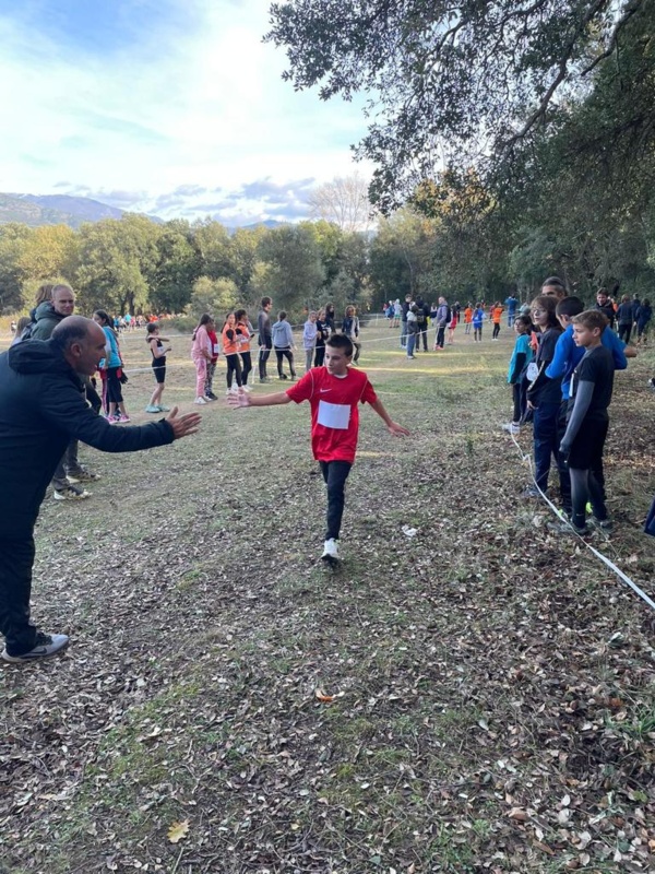 CROSS ACADEMIQUE CORTE