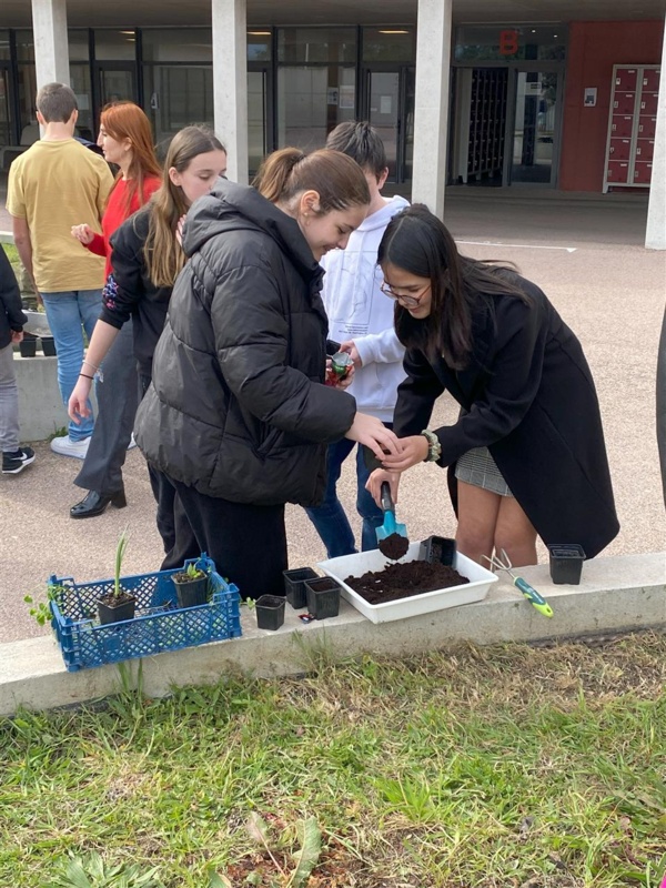 Les éco-délégués volontaires embellissent la cour : un partenariat avec le CPIE Les éco-délégués volontaires embellissent la cour : un partenariat avec le CPIE
