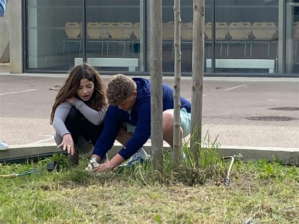 Les éco-délégués volontaires embellissent la cour : un partenariat avec le CPIE Les éco-délégués volontaires embellissent la cour : un partenariat avec le CPIE