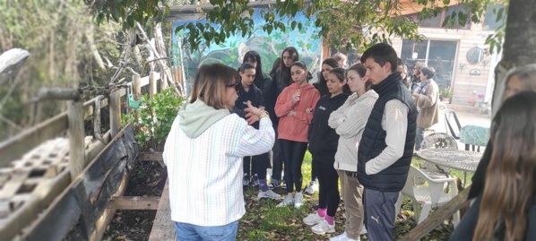 Sortie à Rennu 3ème2 Sortie à Rennu 3ème2