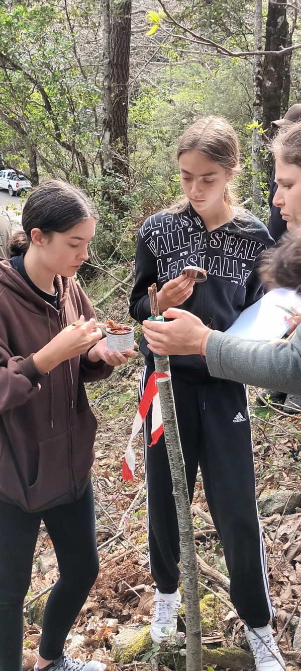 4°CLEDD "Furest'Avvene" 4°CLEDD "Furest'Avvene"