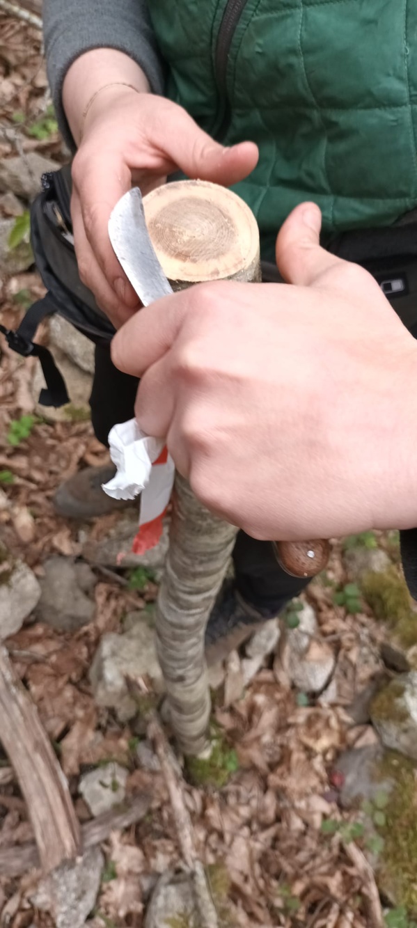 4°CLEDD "Furest'Avvene" 4°CLEDD "Furest'Avvene"