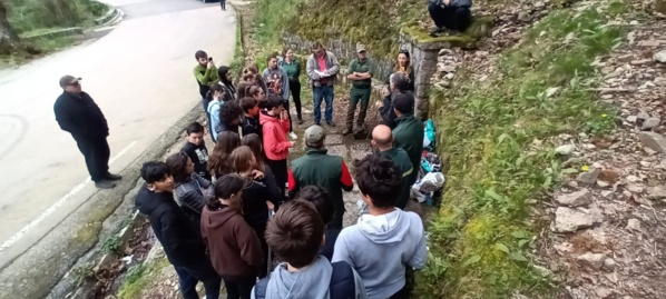 4°CLEDD "Furest'Avvene" 4°CLEDD "Furest'Avvene"