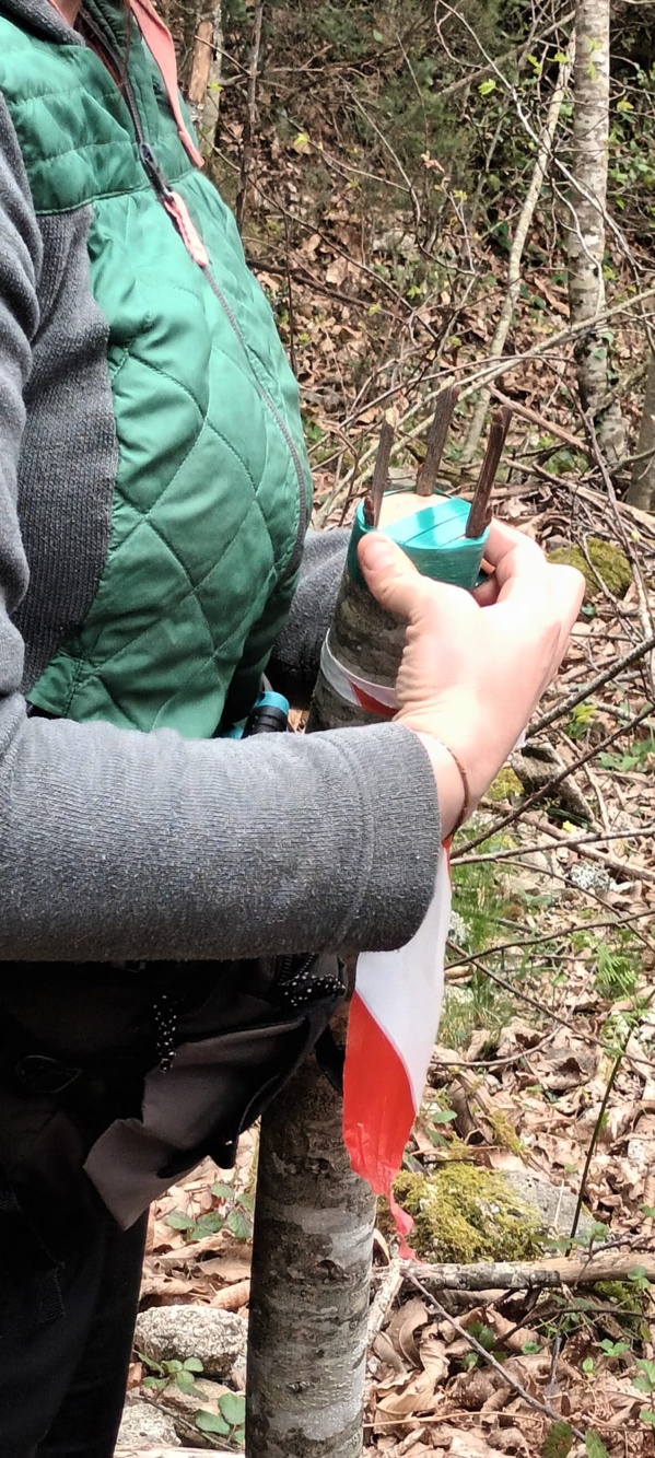 4°CLEDD "Furest'Avvene" 4°CLEDD "Furest'Avvene"