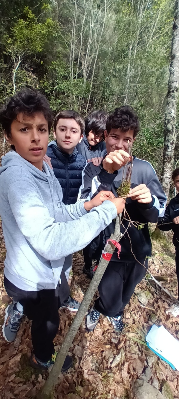 4°CLEDD "Furest'Avvene" 4°CLEDD "Furest'Avvene"