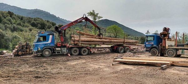 4°CLEDD "Furest'Avvene" 4°CLEDD "Furest'Avvene"