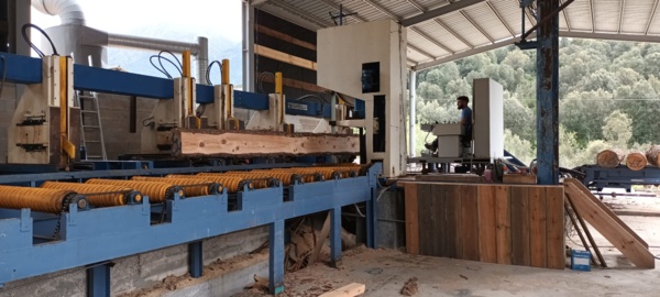 4°CLEDD "Furest'Avvene" 4°CLEDD "Furest'Avvene"