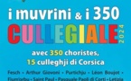 I MUVRINI &amp; I 350 CULLEGIALE 2024 U PALATINU AIACCIU 28/05/2024