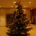 Notre sapin de Noël