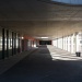Cour