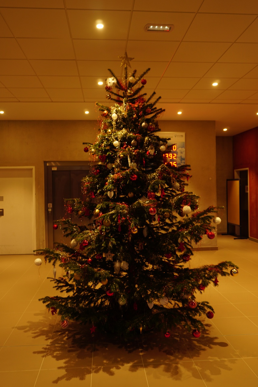 Notre sapin de Noël