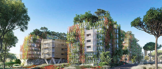 Un projet de micro forêt-urbaine dans la ville de Nice